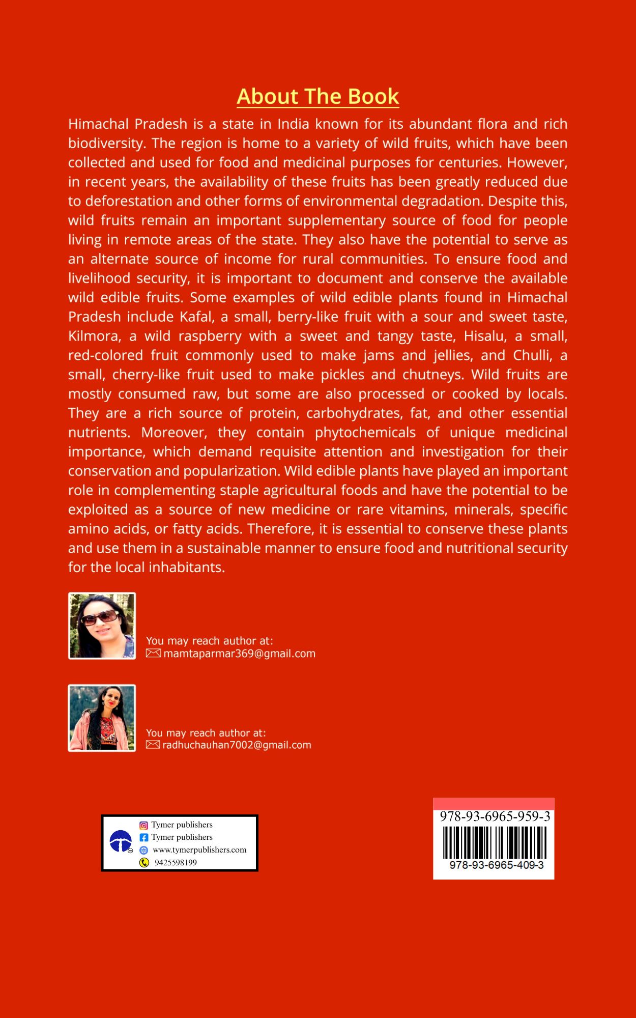 Techip Infotech Pvt Ltd