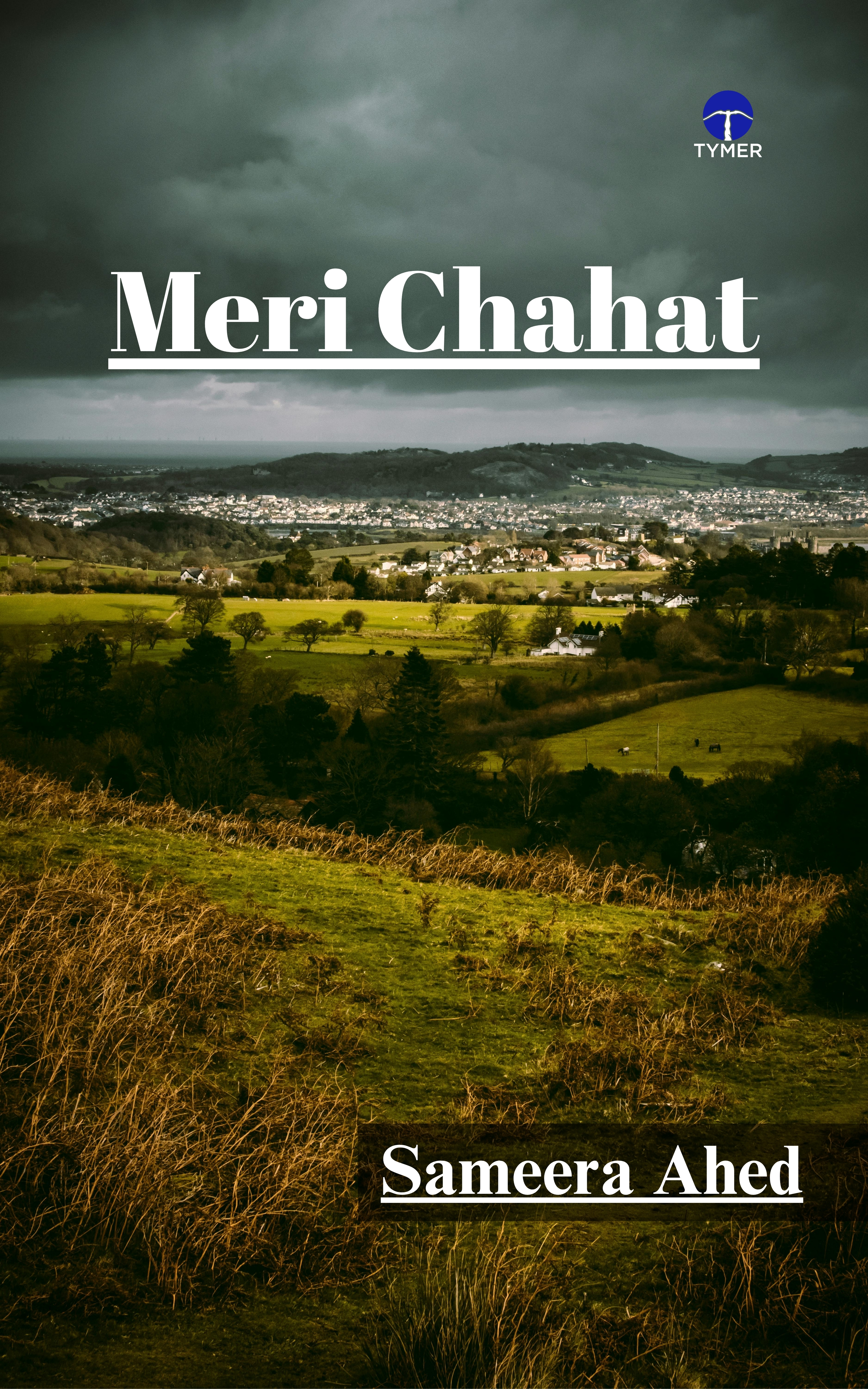 Techip Infotech Pvt Ltd