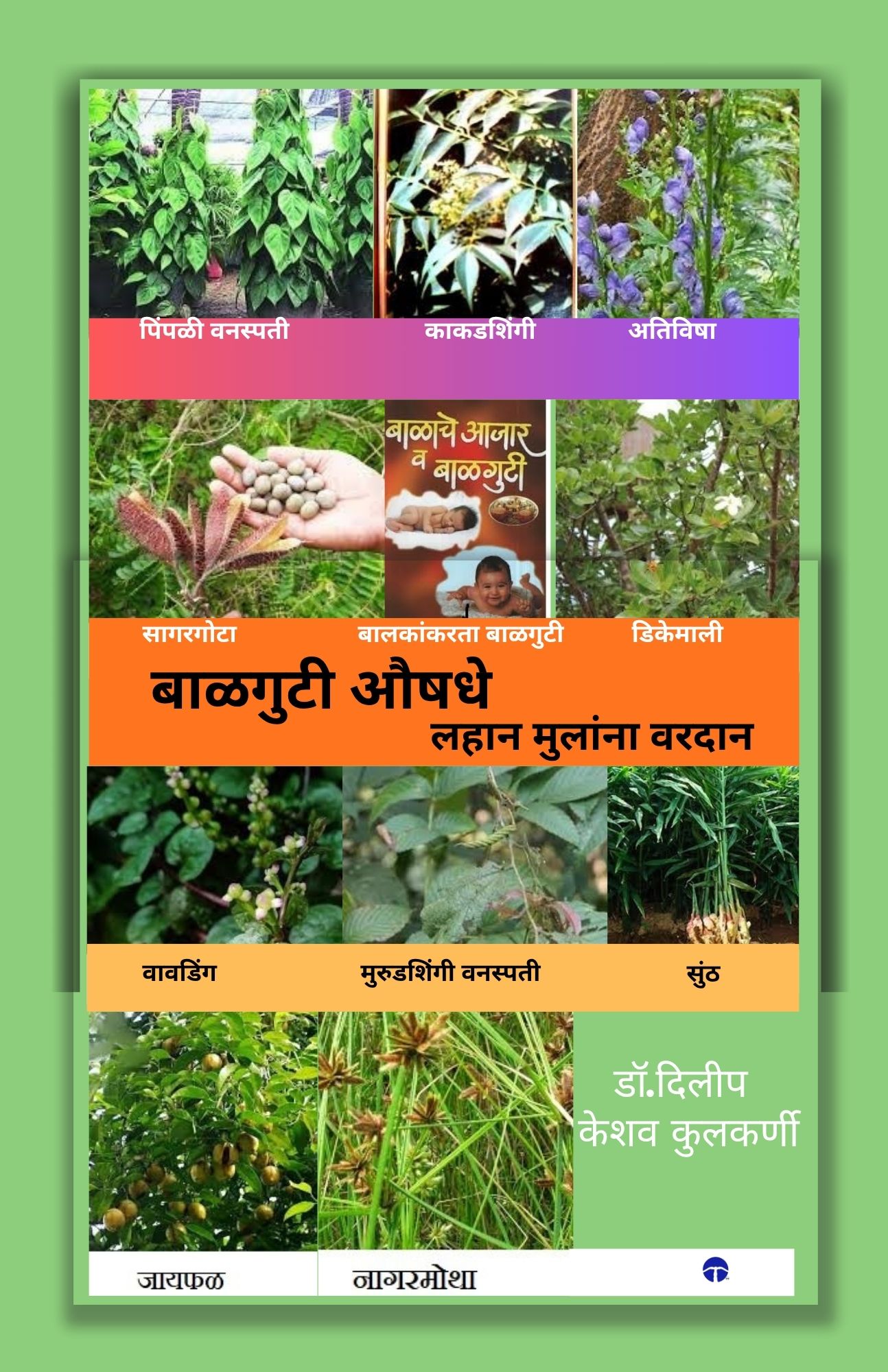 Techip Infotech Pvt Ltd