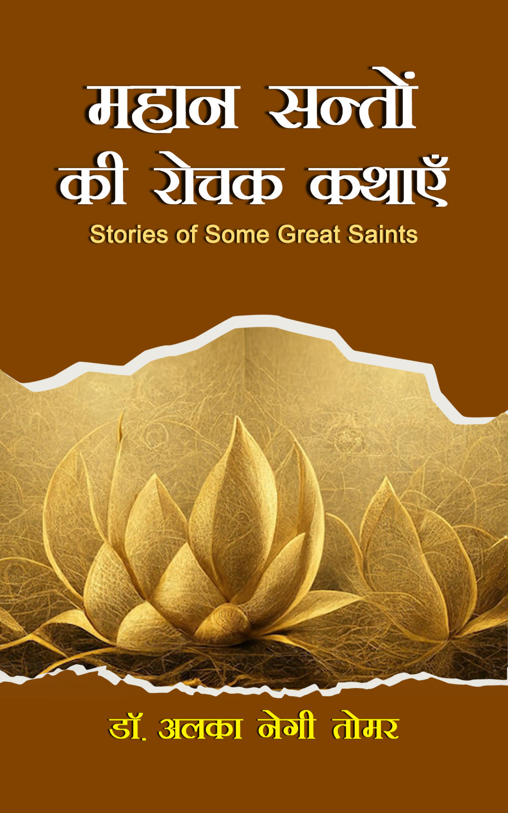 Techip Infotech Pvt Ltd