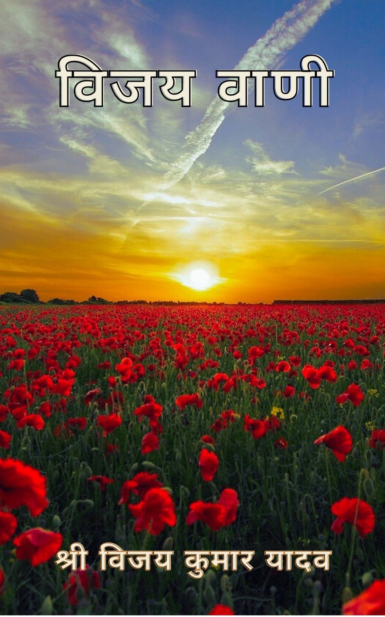 Techip Infotech Pvt Ltd